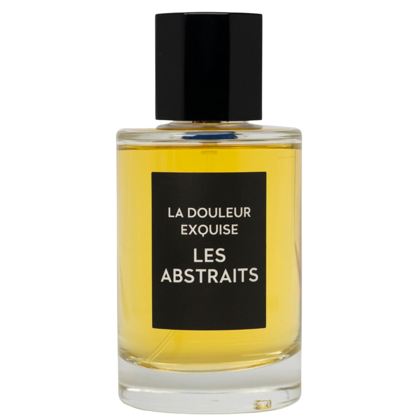 LA DOULEUR EXQUISE
