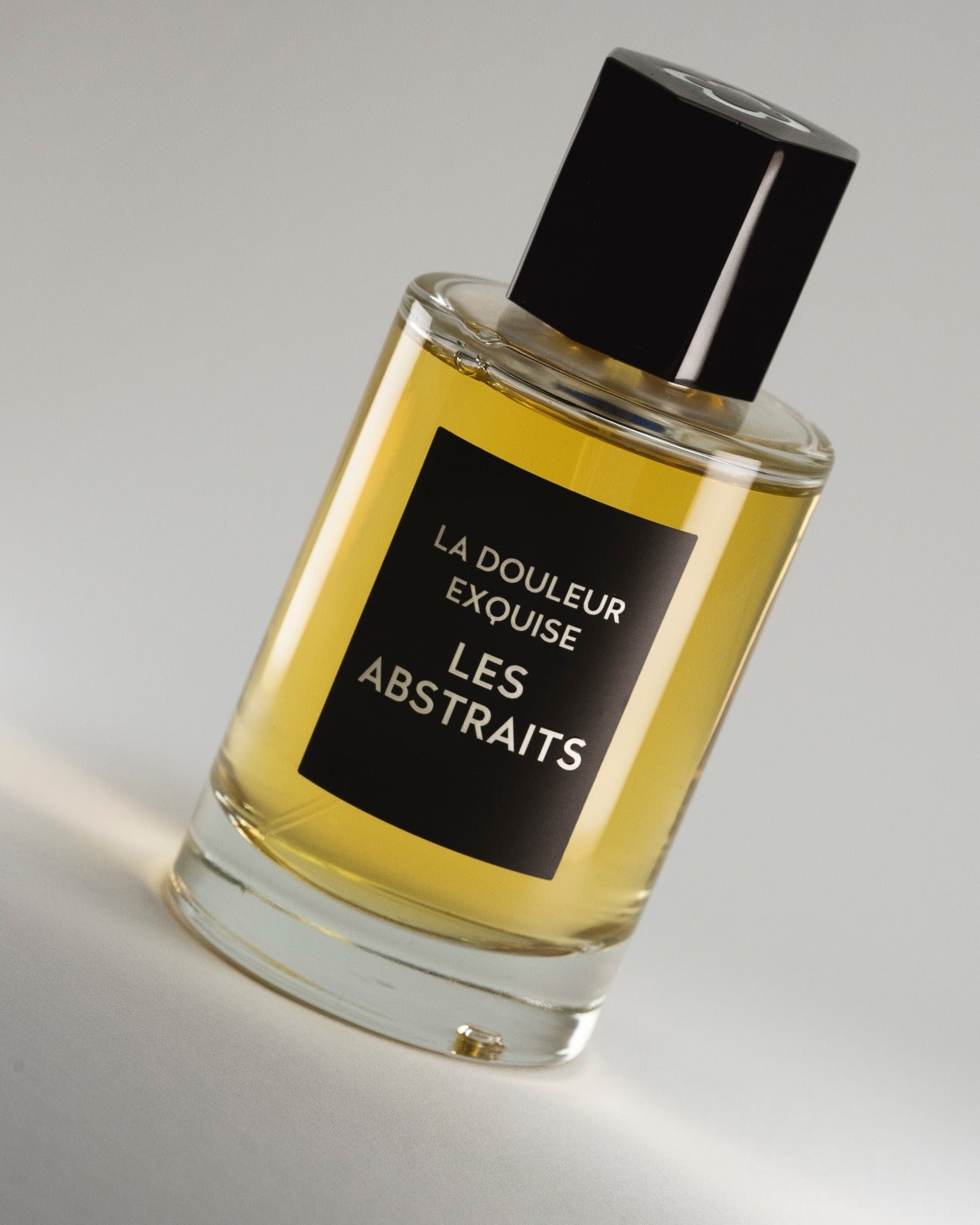 LA DOULEUR EXQUISE